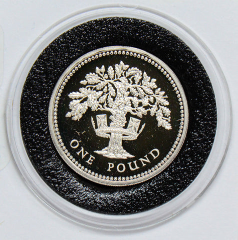 Great Britain 1987  Pound silver  proof tree B0079 combine shipping