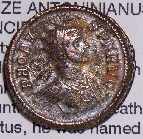 Roman -276    AD 276-282 A0041 combine shipping