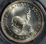 PC0171 South Africa 1955 5 Shillings silver deer animal PCGS PL64 rare prooflike