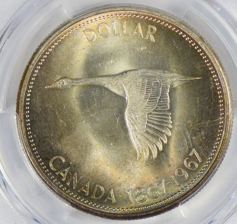 Canada 1967 Dollar silver PCGS MS64 stunning blue golden toning PC0306 combine s